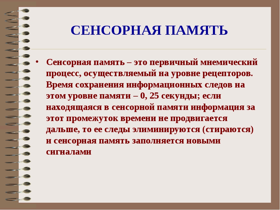 Тактильную информацию человек. Сенсорная память. Виды сенсорной памяти. Сенсорная память примеры. Сенсорная память в психологии.