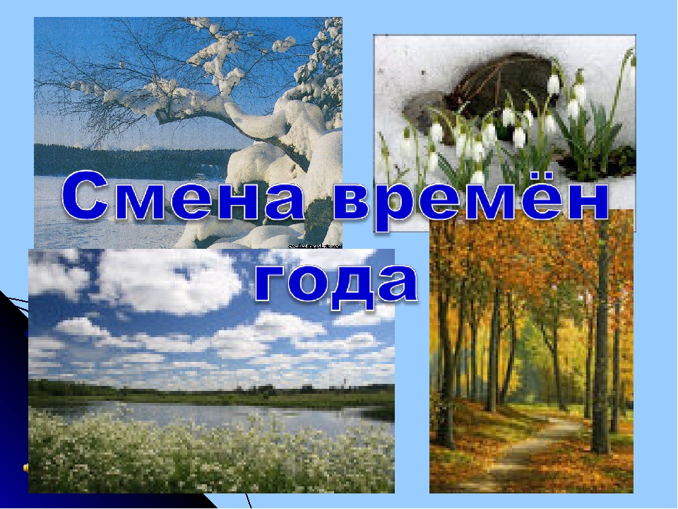 Проект смена