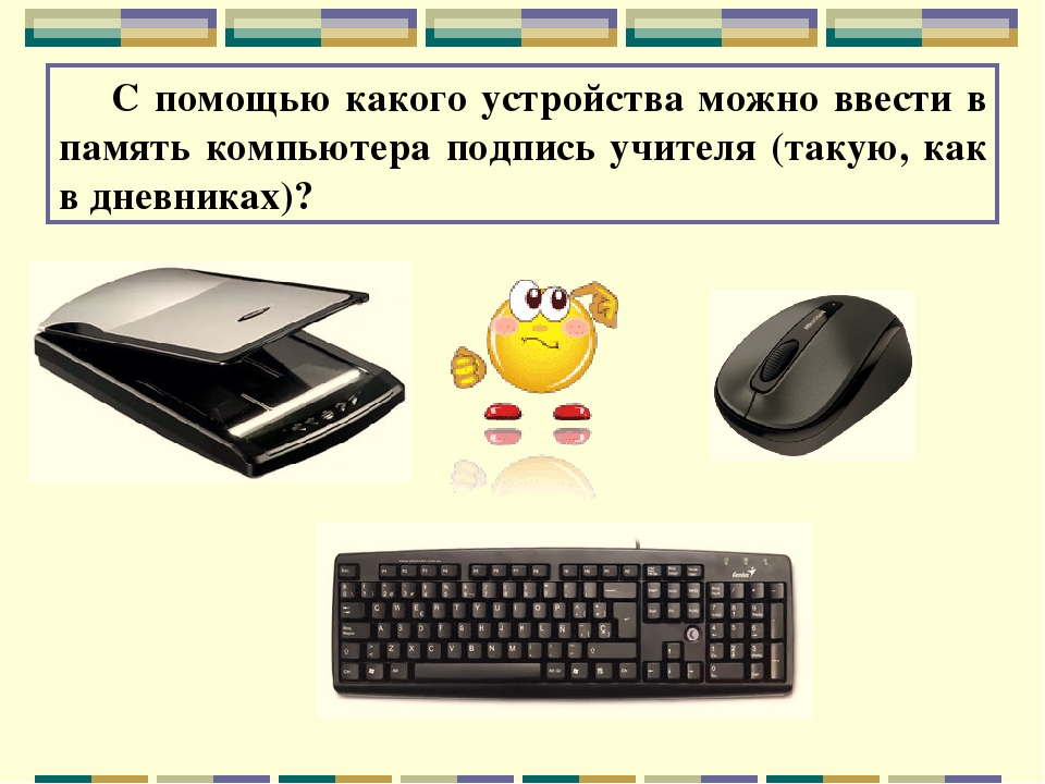 Устройство можно. Информатика устройства ввода информации 2 класс. Рассказ на тему устройство ввода информации урок информатики. Уши какое устройство информации по информатике. На какое устройство можно ввести отчëт.