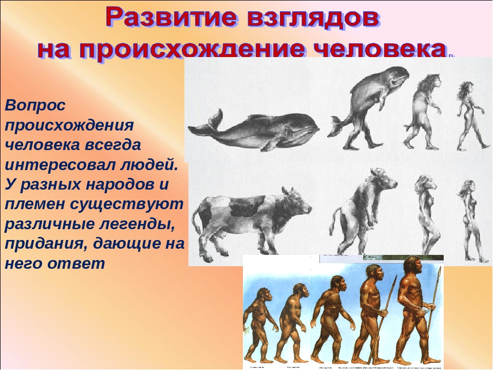 Возникновение эволюционной теории. Происхождение человека. Эволюция человека. Развитие человека. Появление человека.