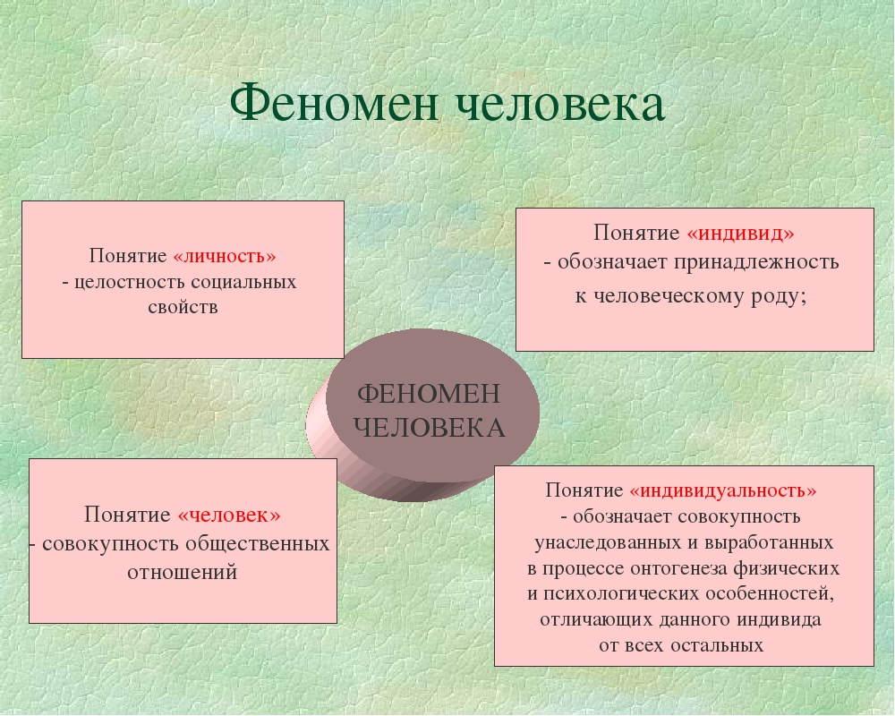 Феномен информационной личности проект 9 класс