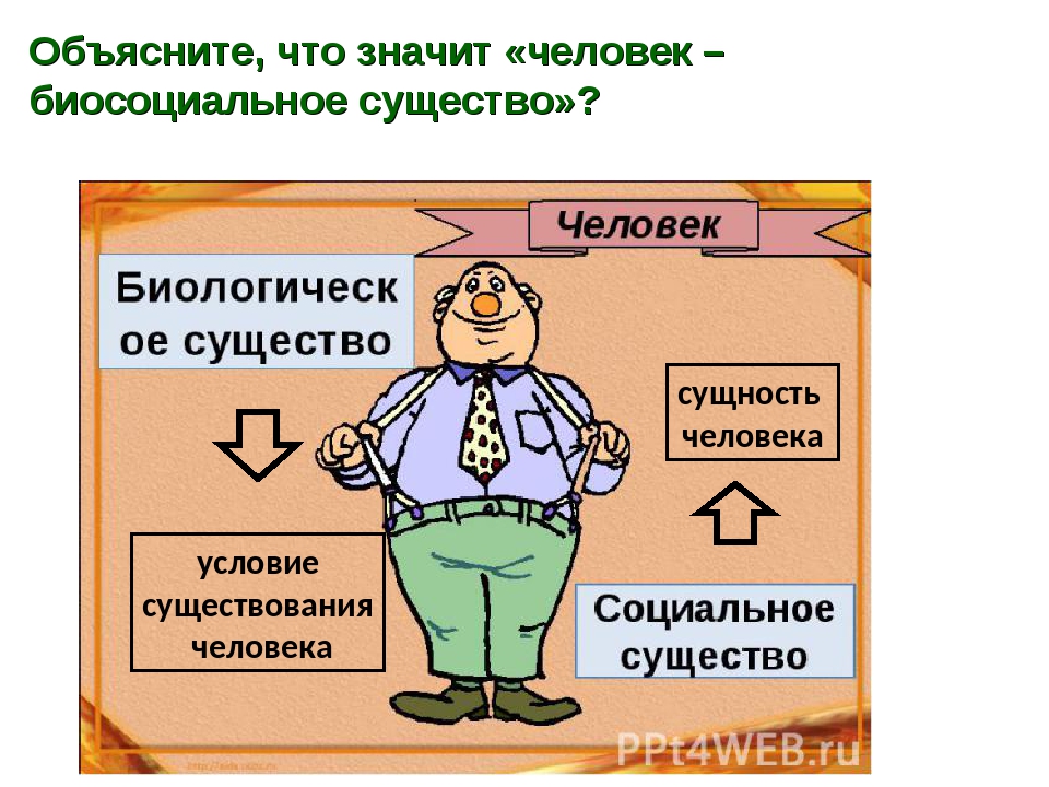 Обозначает личность. Биосоциальная сущность человека. Объясните понятие человек биосоциальное существо. Объяснение человеку. Биосоциальная сущность человека Обществознание.