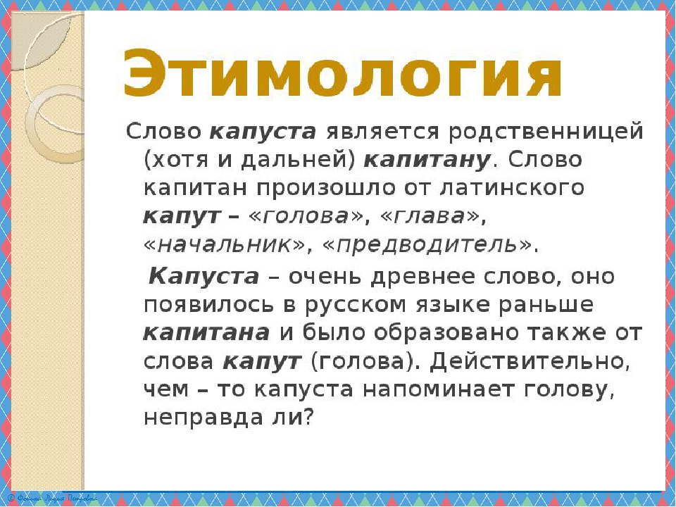 Лета происхождение слова. Этимология слова. Этимология происхождение слова. Интересное происхождение слов в русском языке. Примеры этимологических слов.