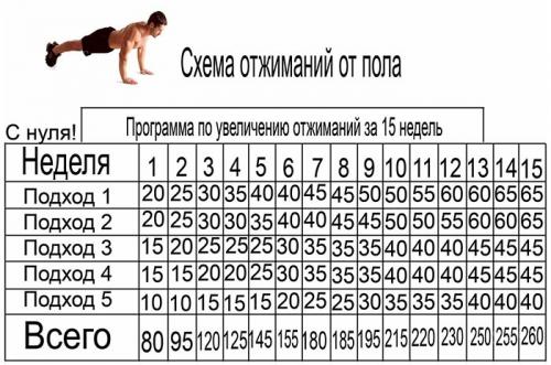 Схема отжиманий схема подтягиваний. Программы подтягиваний и отжиманий