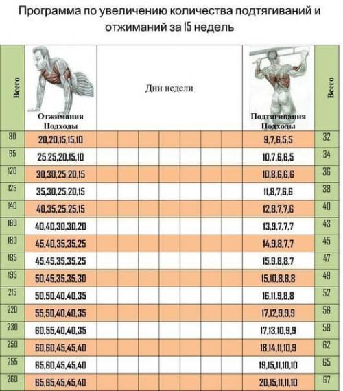 Схема отжиманий схема подтягиваний. Программы подтягиваний и отжиманий