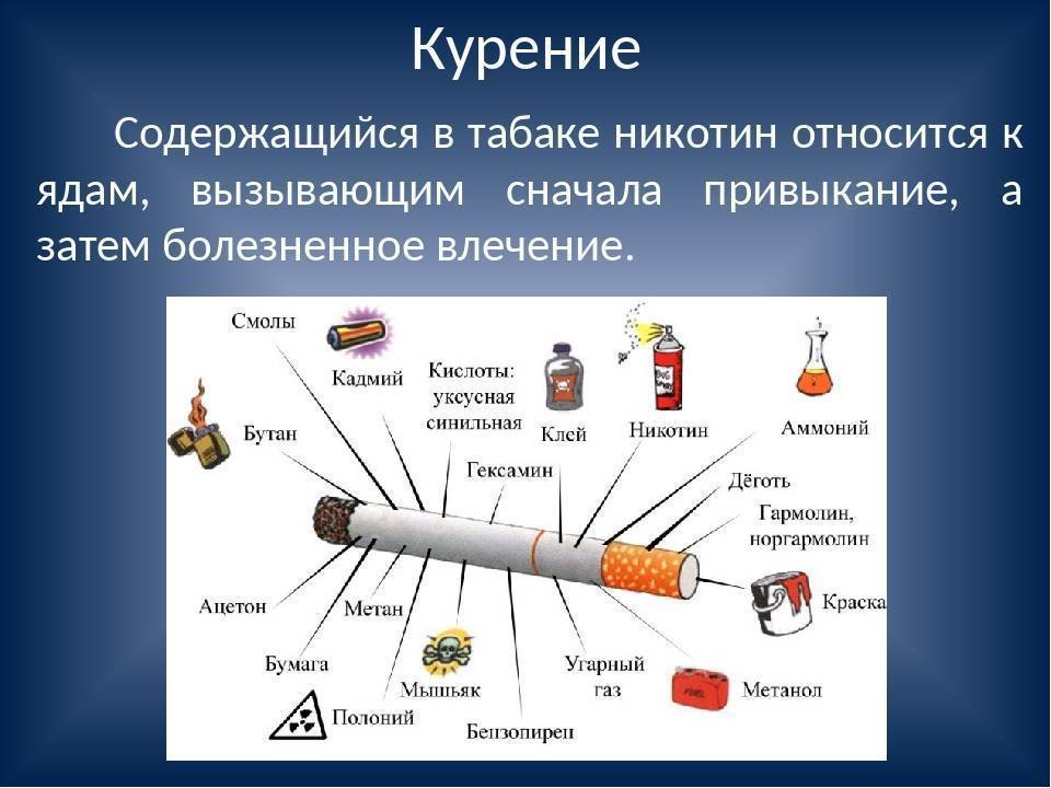 Что содержит никотин. Что содержится в сигарете вещества. Никотин содержится в табаке. Состав сигареты. Количество вредных веществ в сигарете.