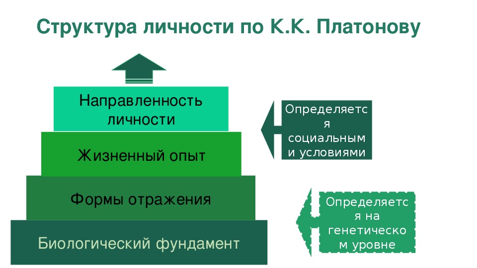 Концепция развития личности. Платонов подструктуры личности. Структура личности по Платонову. Концепция личности Платонова.