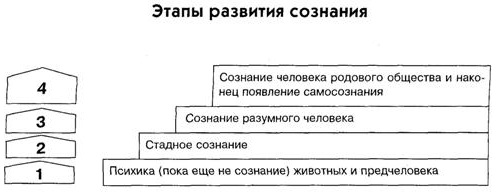 Сознание в психологии. Что это такое, функции, свойства, измененные состояния, проявления