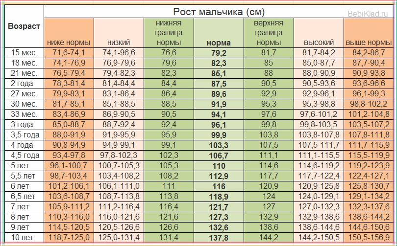 Как выглядит нормальный член фото