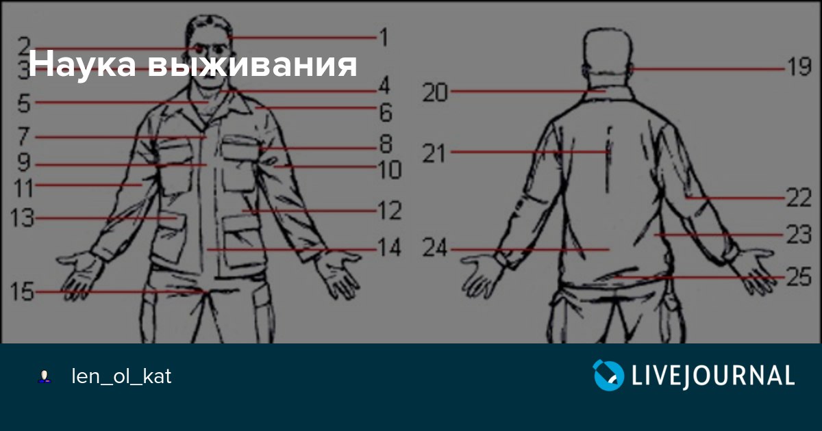 Все болевые точки человека с описанием и картинками