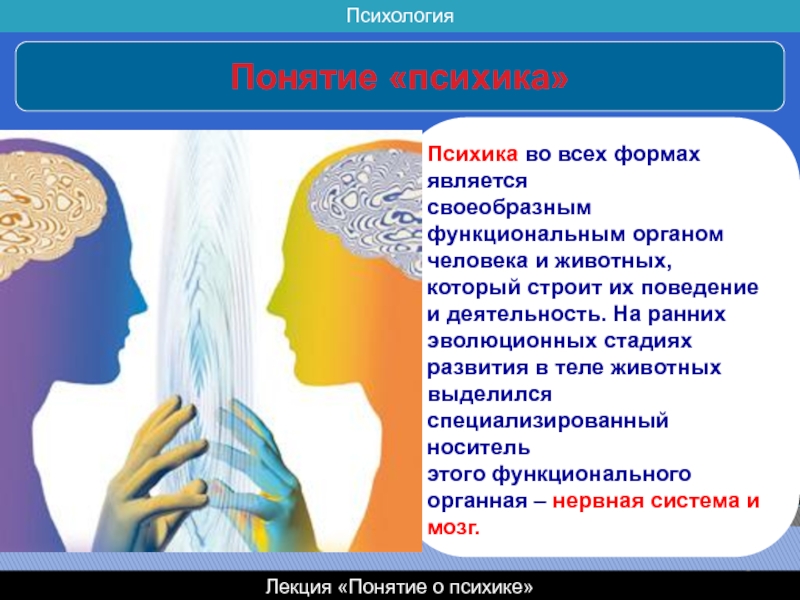 Психика 4. Понятие это в психологии. Понятие психики. Понимание это в психологии. Определение понятия психика.