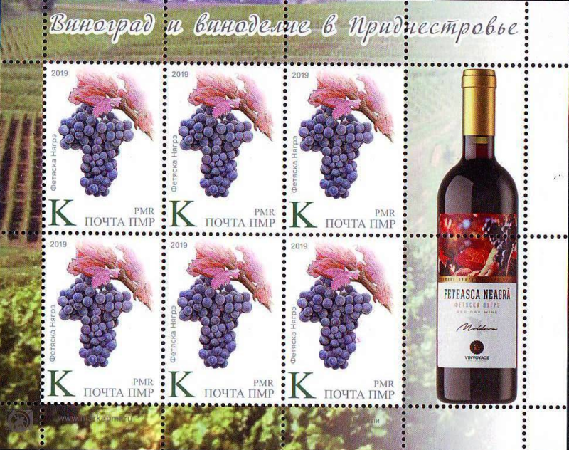 Сорт винограда для белого вина 7 букв. Марки виноградных вин. Виноградное вино марки. Виноградные вина названия марки. Виноград марочный.